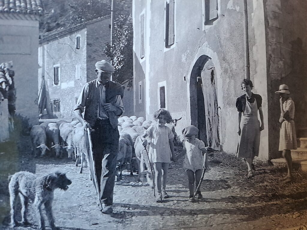 Dans le silence des Terroirs, des générations de famille cachent leurs secrets, rancunes et blessures silencieuses. La noirceur humaine couve avant d'éclater.
